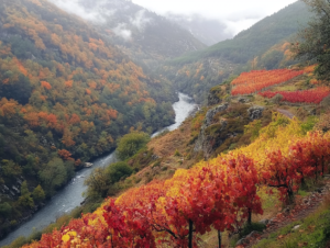 Finca y Bodega A Figueira a orillas del Minho
